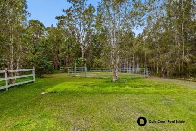 Acreage/Semi-rural For Sale - NSW - Moonee Beach - 2450 - Luxury Living Meets With Country Charm  (Image 2)