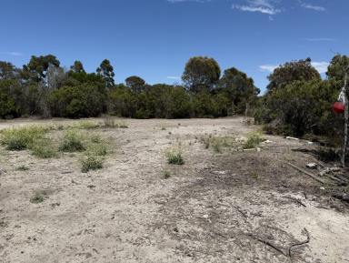 Residential Block For Sale - SA - Sapphiretown - 5222 - Kangaroo Island land primed for your Island retreat. Peace, privacy, nature and potential. Cleared area ready for building (STCC).  (Image 2)