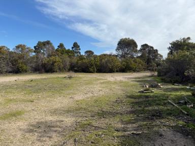 Residential Block For Sale - SA - Sapphiretown - 5222 - Kangaroo Island land primed for your Island retreat. Peace, privacy, nature and potential. Cleared area ready for building (STCC).  (Image 2)