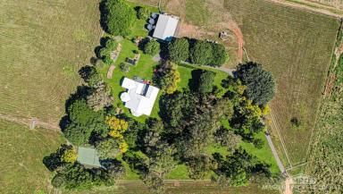 Lifestyle For Sale - QLD - Mareeba - 4880 - PICTURESQUE BRACEBROUGH  (Image 2)