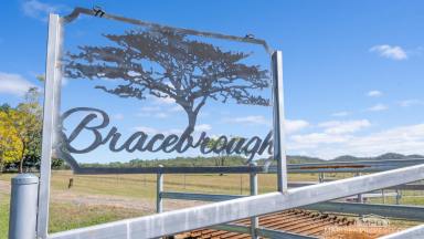Lifestyle For Sale - QLD - Mareeba - 4880 - PICTURESQUE BRACEBROUGH (Image 2)
