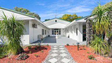 Lifestyle For Sale - QLD - Mareeba - 4880 - PICTURESQUE BRACEBROUGH (Image 2)