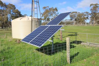 Mixed Farming For Sale - SA - Naracoorte - 5271 - Woodalla  (Image 2)