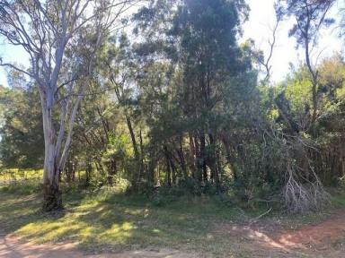 Residential Block For Sale - QLD - Macleay Island - 4184 - Go Glamping while you build your dream home  (Image 2)