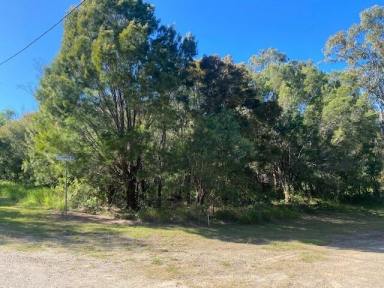 Residential Block For Sale - QLD - Macleay Island - 4184 - Go Glamping while you build your dream home  (Image 2)