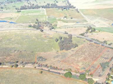 Residential Block For Sale - NSW - Maimuru - 2594 - Great Views, A Lifestyle Dream  (Image 2)