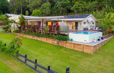 House For Sale - QLD - Wonga Beach - 4873 - Dream Views. Dream Shed. Dream Home.  (Image 2)