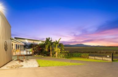 House For Sale - QLD - Wonga Beach - 4873 - Dream Views. Dream Shed. Dream Home.  (Image 2)