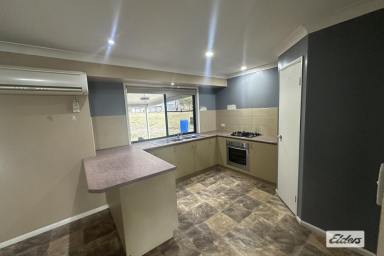 Acreage/Semi-rural For Lease - QLD - Gatton - 4343 - Family home on 5 acres in Gatton..  (Image 2)