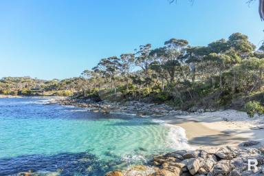 House For Sale - TAS - Bicheno - 7215 - Quiet Coastal Living with Ocean Views  (Image 2)