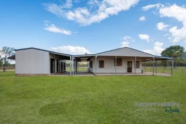 Acreage/Semi-rural For Sale - QLD - Pinnacles - 4815 - Lifestyle Property with Horse Infrastructure  (Image 2)