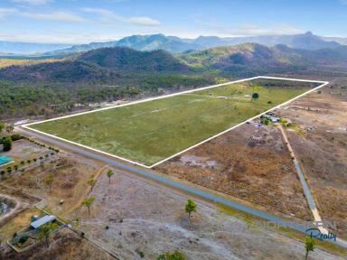 Acreage/Semi-rural For Sale - QLD - Pinnacles - 4815 - Lifestyle Property with Horse Infrastructure  (Image 2)
