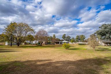 House For Sale - NSW - Wattamondara - 2794 - Magnificent 3 bedroom home on 1.56 Acres, ideal blend of luxury living and country charm!  (Image 2)