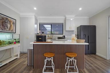 House For Sale - NSW - Wattamondara - 2794 - Magnificent 3 bedroom home on 1.56 Acres, ideal blend of luxury living and country charm!  (Image 2)