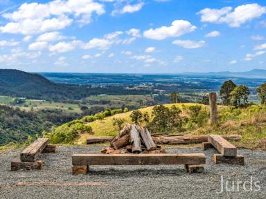 Lifestyle For Sale - NSW - Pokolbin - 2320 - POKOLBIN MOUNTAIN ESTATE  (Image 2)