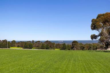 Other (Rural) For Sale - VIC - Drysdale - 3222 - Serenity and Space with Sea and Bay Views  (Image 2)