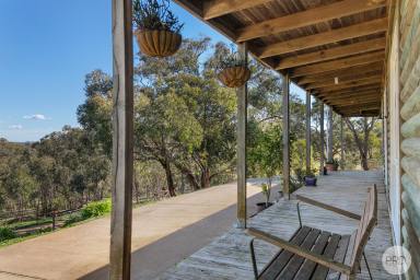 House For Sale - VIC - Linton - 3360 - A Lifestyle You'll Instantly Feel At Home In  (Image 2)