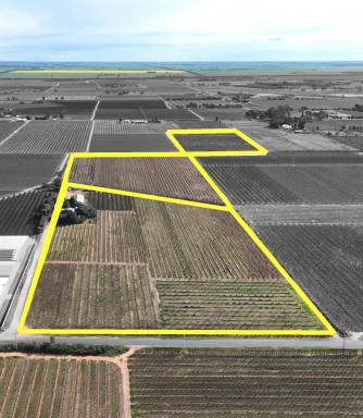 Mixed Farming For Sale - VIC - Woorinen North - 3589 - Exceptional Horticultural Investment with Solid Residential Base  (Image 2)