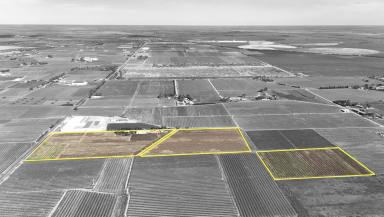 Mixed Farming For Sale - VIC - Woorinen North - 3589 - More Than a Fruit Block - A Lifestyle with Income, Space & Potential (Image 2)