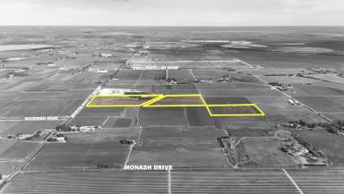 Mixed Farming For Sale - VIC - Woorinen North - 3589 - More Than a Fruit Block - A Lifestyle with Income, Space & Potential (Image 2)