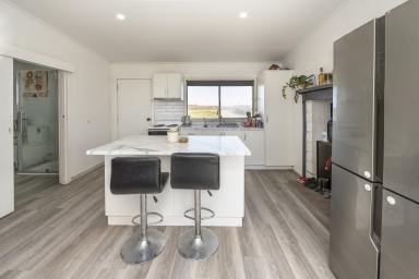 Farmlet For Sale - VIC - Woorinen - 3589 - Idyllic Rural Escape on 27 Acres of Peace, Privacy & Potential  (Image 2)
