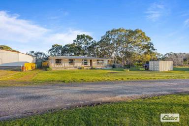 House For Sale - VIC - Glenthompson - 3293 - Renovators delight with Grampians views and huge potential  (Image 2)