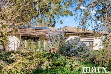 House For Sale - SA - Angaston - 5353 - Rare Offering - First Time to Market in Over 60 Years  (Image 2)