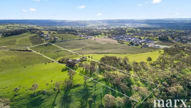 House For Sale - SA - Angaston - 5353 - Rare Offering - First Time to Market in Over 60 Years  (Image 2)