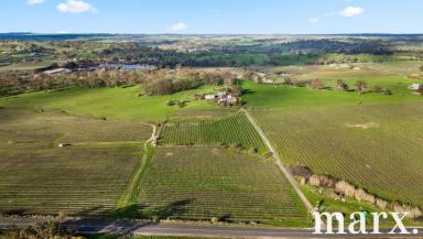 House For Sale - SA - Angaston - 5353 - Rare Offering - First Time to Market in Over 60 Years  (Image 2)