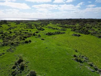 Livestock For Sale - VIC - Pomborneit East - 3249 - ATTRACTIVE WELL BALANCED COLAC DISTRICT ACREAGE  (Image 2)