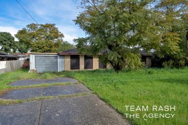 House For Sale - WA - Beechboro - 6063 - Renovator’s Dream on a Huge Block – Endless Potential  (Image 2)