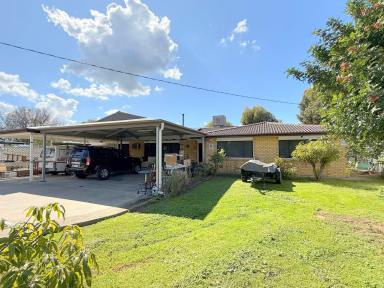 House For Sale - NSW - Moree - 2400 - 4 BEDROOM FAMILY HOME ON 1157M2  (Image 2)