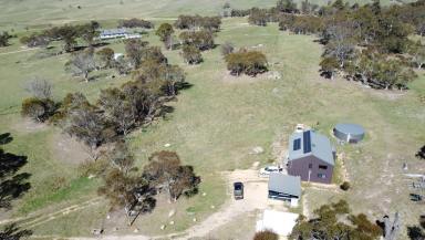 Lifestyle For Sale - NSW - Jerangle - 2630 - Idyllic Acreage/semi-rural Retreat  (Image 2)