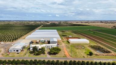 Horticulture For Sale - QLD - Calavos - 4670 - Calavos Flower Farm & Homestead on 2.89 ha  (Image 2)
