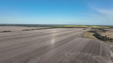 Other (Rural) Auction - NSW - Gurley - 2398 - Wattle Glen & Burrenbah, Gurley  (Image 2)