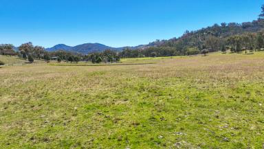 Lifestyle For Sale - NSW - Attunga - 2345 - SPACE, PRODUCTION, LIFESTYLE - ONE FOR THE WHOLE FAMILY  (Image 2)