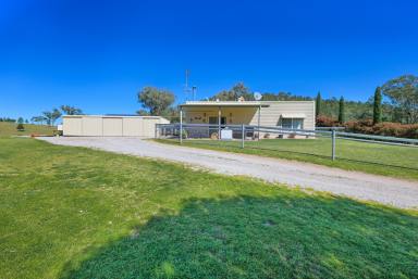 Mixed Farming Auction - NSW - Tamworth - 2340 - SPACE, PRODUCTION, LIFESTYLE - ONE FOR THE WHOLE FAMILY  (Image 2)