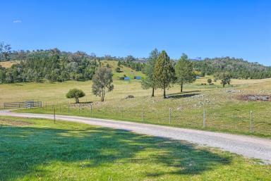 Lifestyle For Sale - NSW - Attunga - 2345 - SPACE, PRODUCTION, LIFESTYLE - ONE FOR THE WHOLE FAMILY  (Image 2)