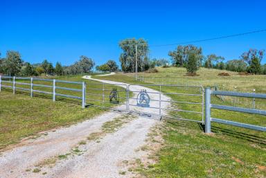 Mixed Farming Auction - NSW - Tamworth - 2340 - SPACE, PRODUCTION, LIFESTYLE - ONE FOR THE WHOLE FAMILY  (Image 2)