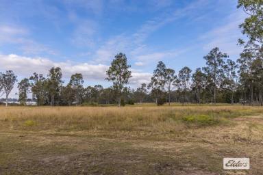 Residential Block For Sale - QLD - Lake Clarendon - 4343 - DA Approved Subdivision  (Image 2)