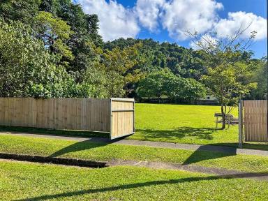Residential Block For Sale - QLD - Babinda - 4861 - Large Vacant Block in the Heart of Babinda Rainforest Township  (Image 2)