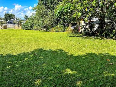 Residential Block For Sale - QLD - Babinda - 4861 - Large Vacant Block in the Heart of Babinda Rainforest Township  (Image 2)