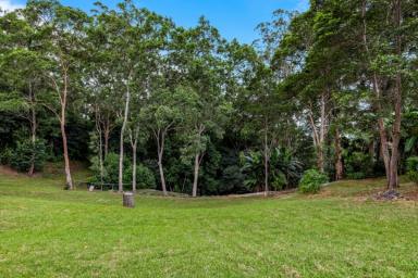 Residential Block For Sale - QLD - Mount Lofty - 4350 - Rare Vacant Land in Sought After Mount Lofty!  (Image 2)