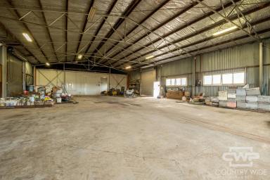 Warehouse For Sale - NSW - Deepwater - 2371 - Multi-Shed Property with Flexible Zoning  (Image 2)