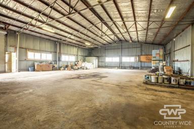 Warehouse For Sale - NSW - Deepwater - 2371 - Multi-Shed Property with Flexible Zoning  (Image 2)