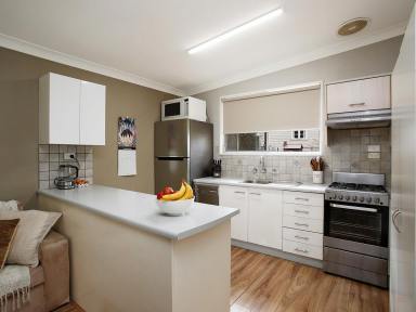House Leased - NSW - Bundanoon - 2578 - Small elevated cottage  (Image 2)