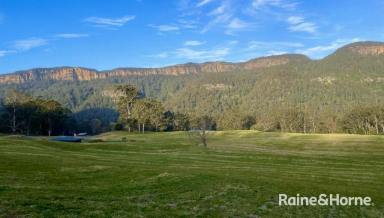 Lifestyle For Sale - NSW - Barrengarry - 2577 - 'Jingella Estate' - The Natural Wonder of Kangaroo Valley  (Image 2)