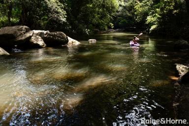 Lifestyle For Sale - NSW - Barrengarry - 2577 - 'Jingella Estate' - The Natural Wonder of Kangaroo Valley  (Image 2)