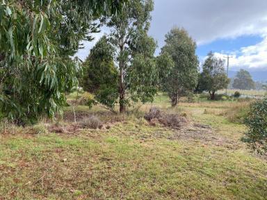 Residential Block For Sale - TAS - Mole Creek - 7304 - Building Block!  (Image 2)