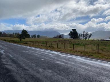 Residential Block For Sale - TAS - Mole Creek - 7304 - Building Block!  (Image 2)